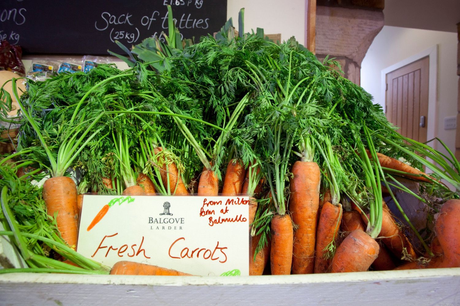Carrots - Scotland's green cities